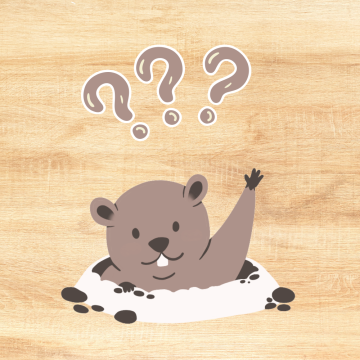 Preglejka WOODCHUCK