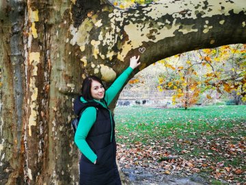 🌿 Vitaj v našom drevenom svete 🌿