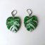 Drevené náušnice Monstera Deliciosa Albo Variegata